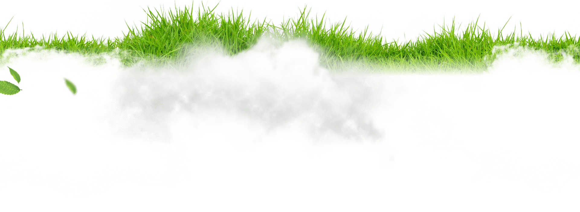 grass